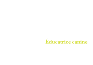 Ma nounou à toutou – Éducatrice canine