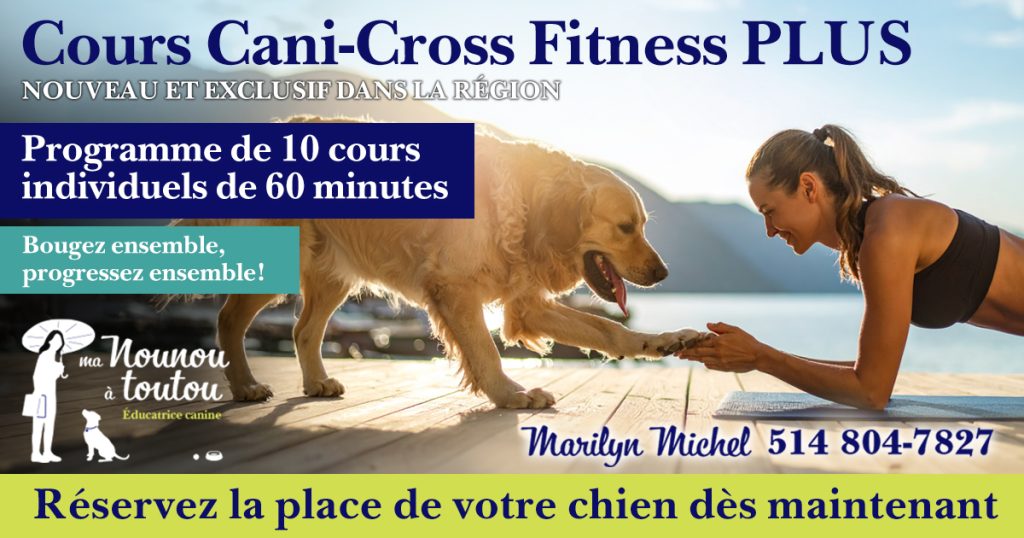 Cours Cani-Cross Fitness Plus